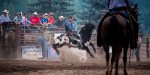Experience Montana charm at the rodeo Events most weekends through summer 